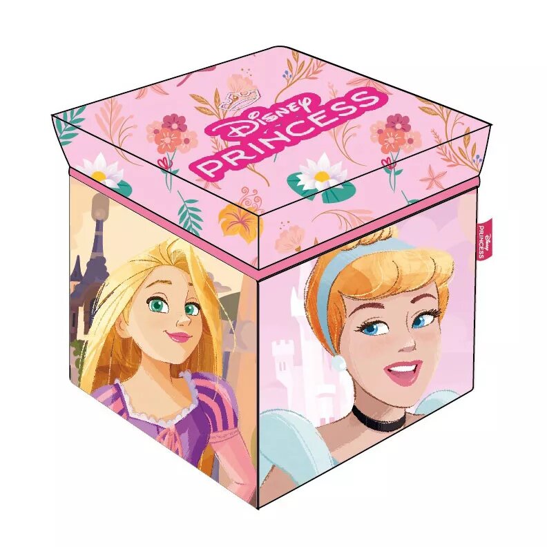 Disney Princess opbergbox 30 x 30 cm 5