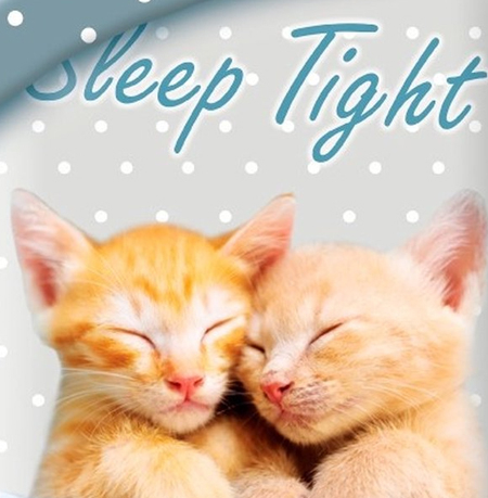 Katten slaapkamer