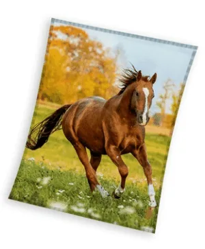 Sweet Home plaid Paard meerkleurig 150x200cm - Multicolor - 150 x 200 cm - 100% Polyester