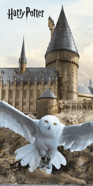 Hedwig - Harry Potter strandlaken - Multicolor - 70 x 140 cm - 100% katoen