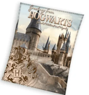 Harry Potter plaid beige 130x160cm - Beige - 130 x 160 cm - 100% Polyester