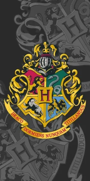Harry Potter strandlaken - Multicolor - 70 x 140 cm - 100% katoen - foto 1