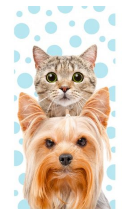 Hond kat - DREAMEE strandlaken 70 x 140 cm - Multicolor - 70 x 140 cm - 100% katoen
