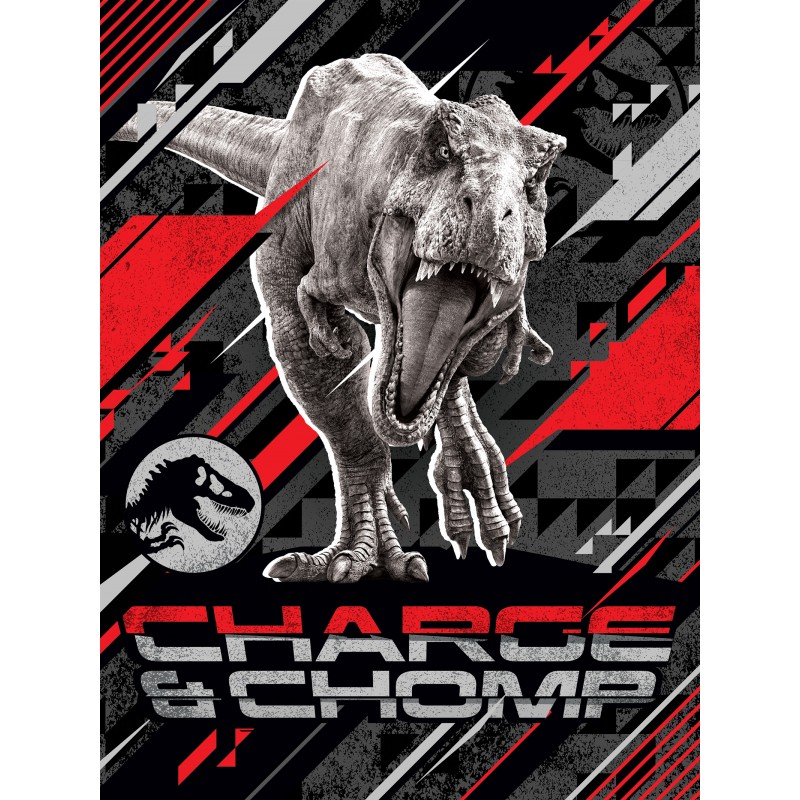 Jurassic Park plaid 130 x 170 cm - Multicolor - 130 x 170 cm - 100% Polyester