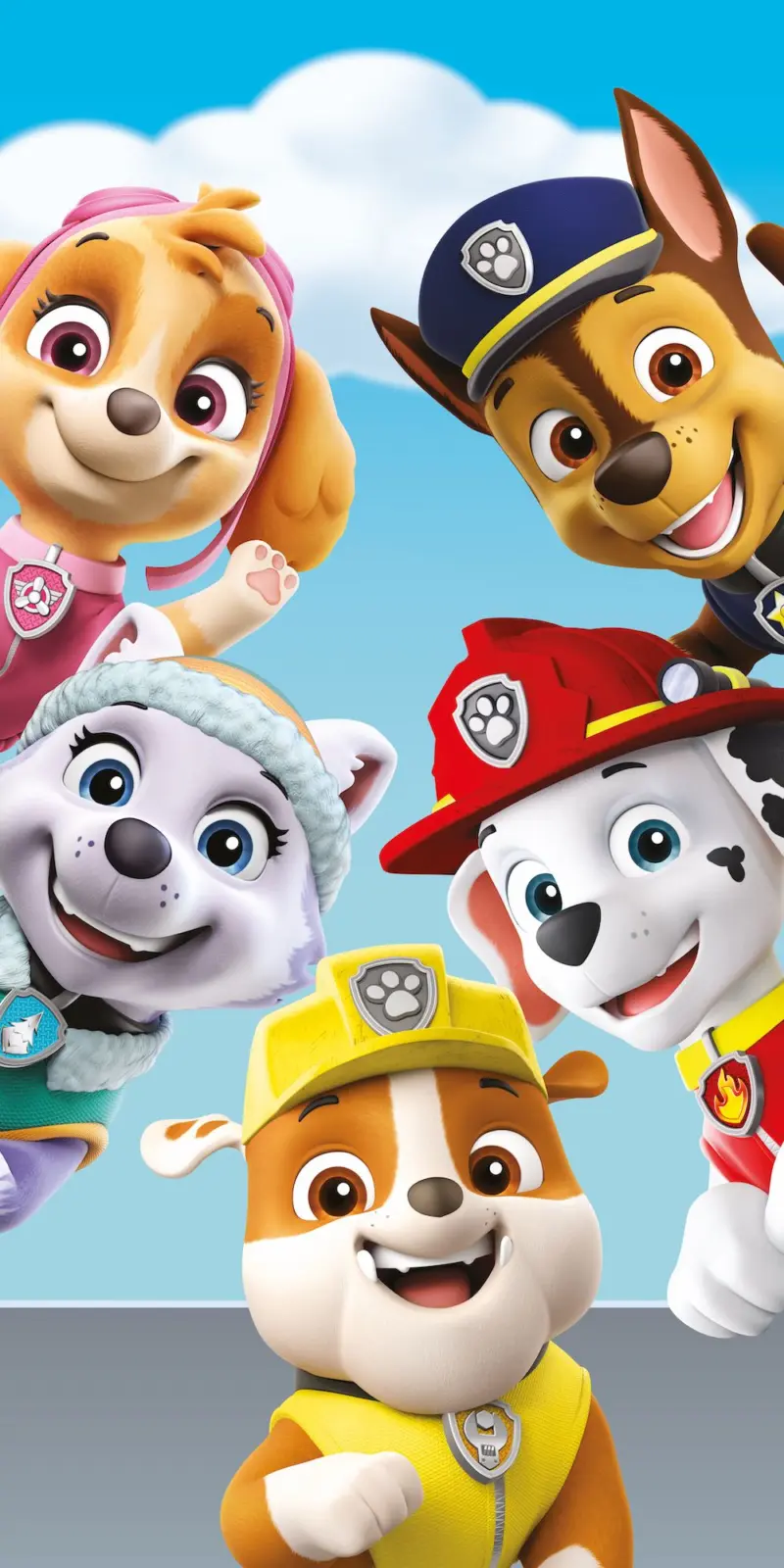 Paw Patrol strandlaken team 70 x 140 cm - Multicolor - 70 x 140 cm - 100% katoen