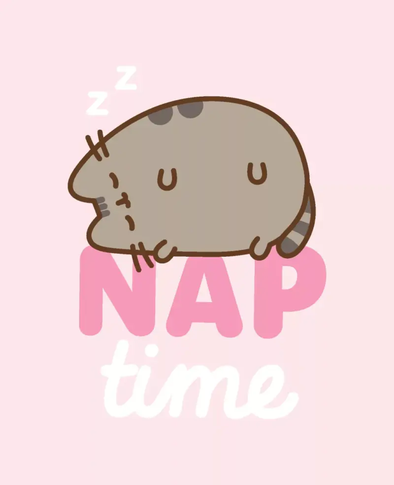 Pusheen plaid NAP 130x160cm - Roze - 130 x 160 cm - 100% Polyester