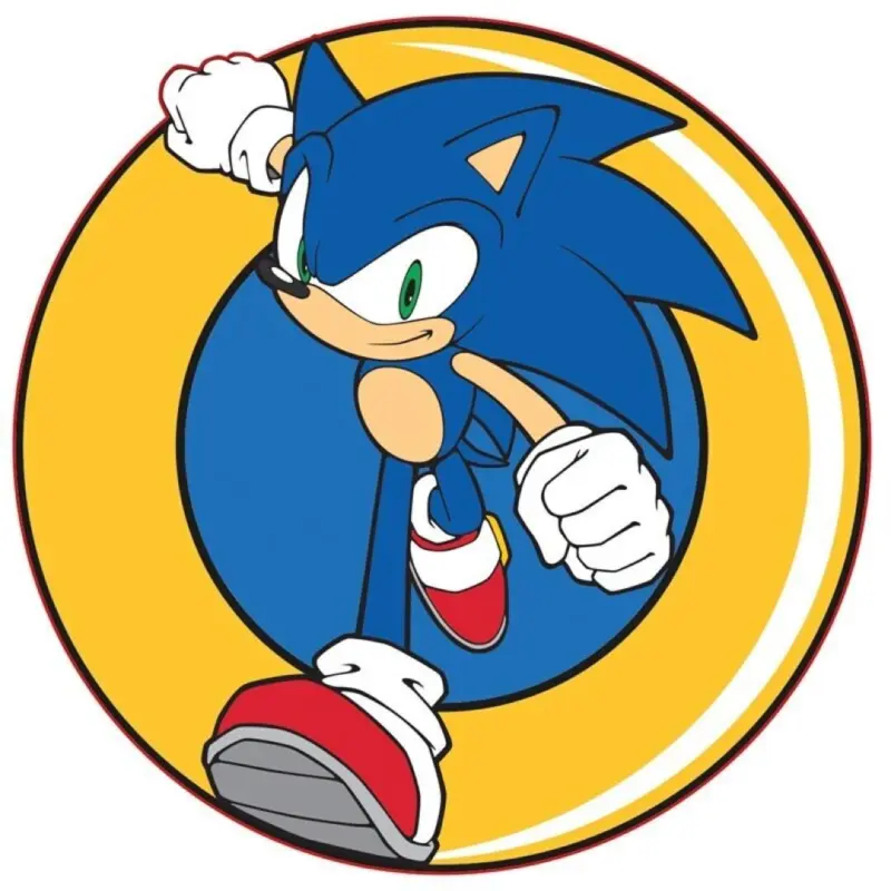 Sonic sierkussen 31 x 31 cm - Multicolor - 31 x 31 cm - 100% Polyester