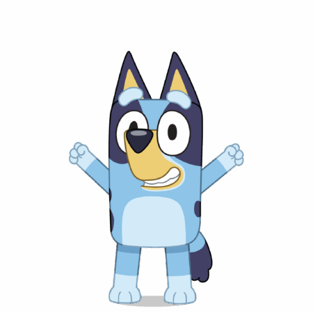 Bluey kussen