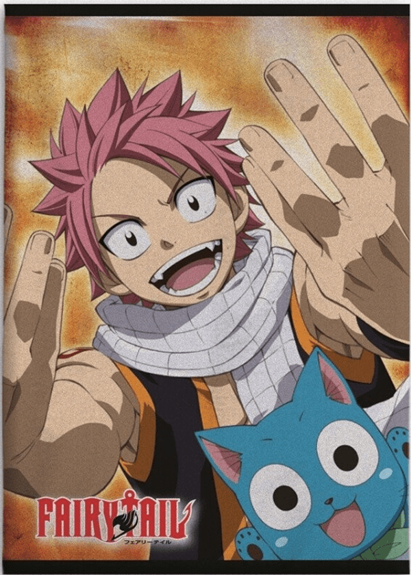 Fairy Tail plaid 100 x 140 cm - Multicolor - 100 x 140 cm - 100% Polyester