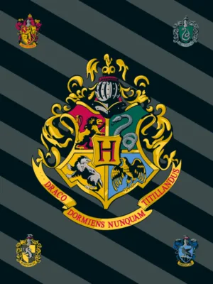 Harry Potter plaid 100 x 150 cm - Multicolor - 100 x 150 cm - 100% Polyester