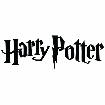 Harry Potter kussen