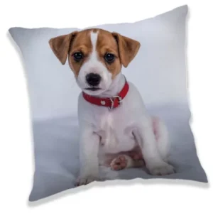 Animal Pictures sierkussen 40X40 cm - Multicolor - 40 x 40 cm - 100% Polyester