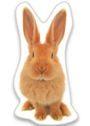 Animal Pictures sierkussen rood 22X36 cm - Rood - 22 x 36 cm - 100% Polyester