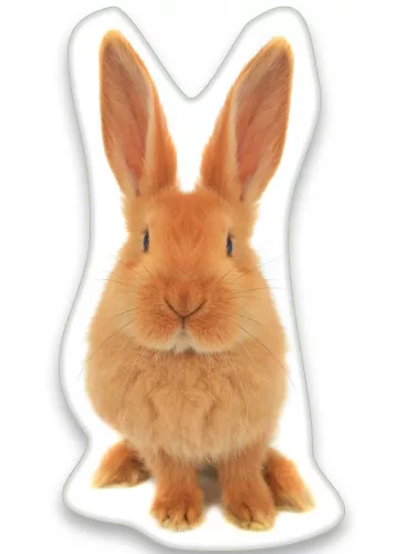 Animal Pictures sierkussen rood 22X36 cm - Rood - 22 x 36 cm - 100% Polyester