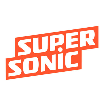 Sonic kussen