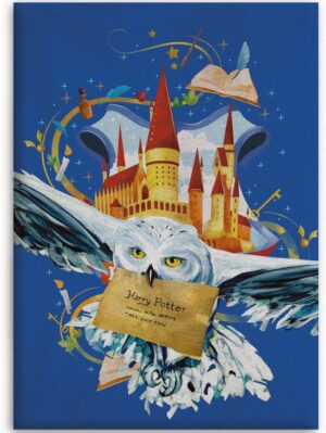 Harry Potter plaid Air mail 100 x 140 cm - Blauw - 100 x 140 cm - 100% Polyester
