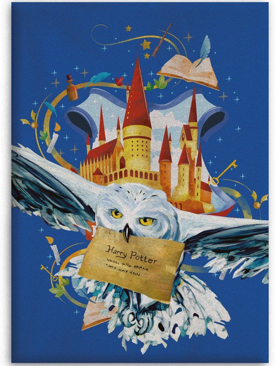Harry Potter fleece plaid Air mail 100 x 140 cm - polyester