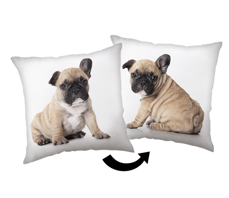 Animal Pictures sierkussen 40 X 40 cm - Wit - 40 x 40 cm - 100% Polyester