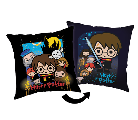 Harry Potter 'friends' sierkussen  40 x 40 cm