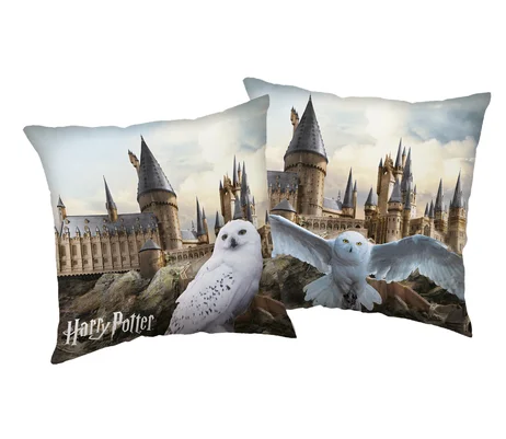 Harry Potter 'Hedwig' sierkussen  40 x 40 cm
