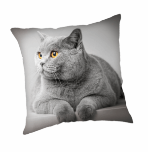 Animal Pictures sierkussen 45 x 45 cm - 45 x 45 cm - 100% Polyester