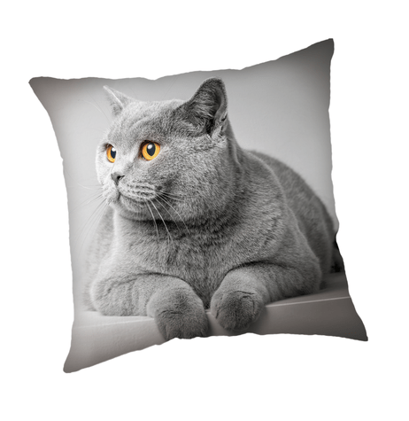 Animal Pictures sierkussen 45 x 45 cm - 45 x 45 cm - 100% Polyester