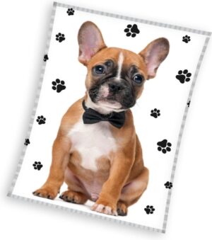 Sweet Home plaid hond130 x 170 cm polyester - Multicolor - 130 x 170 cm - 100% Polyester