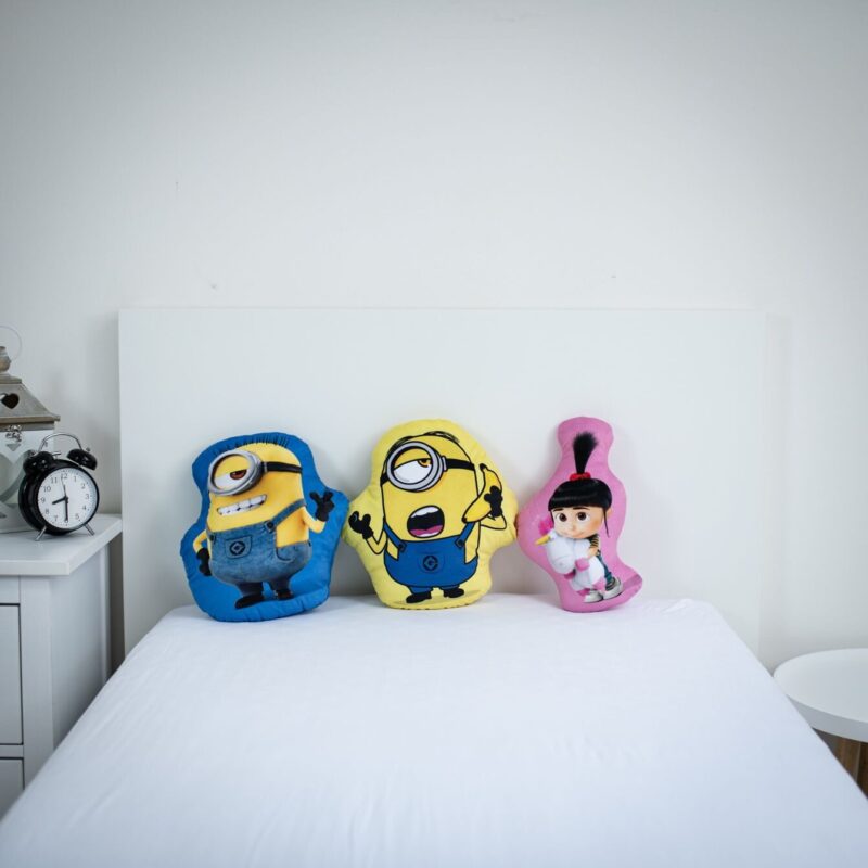 Katoen kussen carl van Minions in 35 x 30 cm