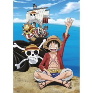 One Piece fleece deken - 100 x 140 cm - 100% Polyester