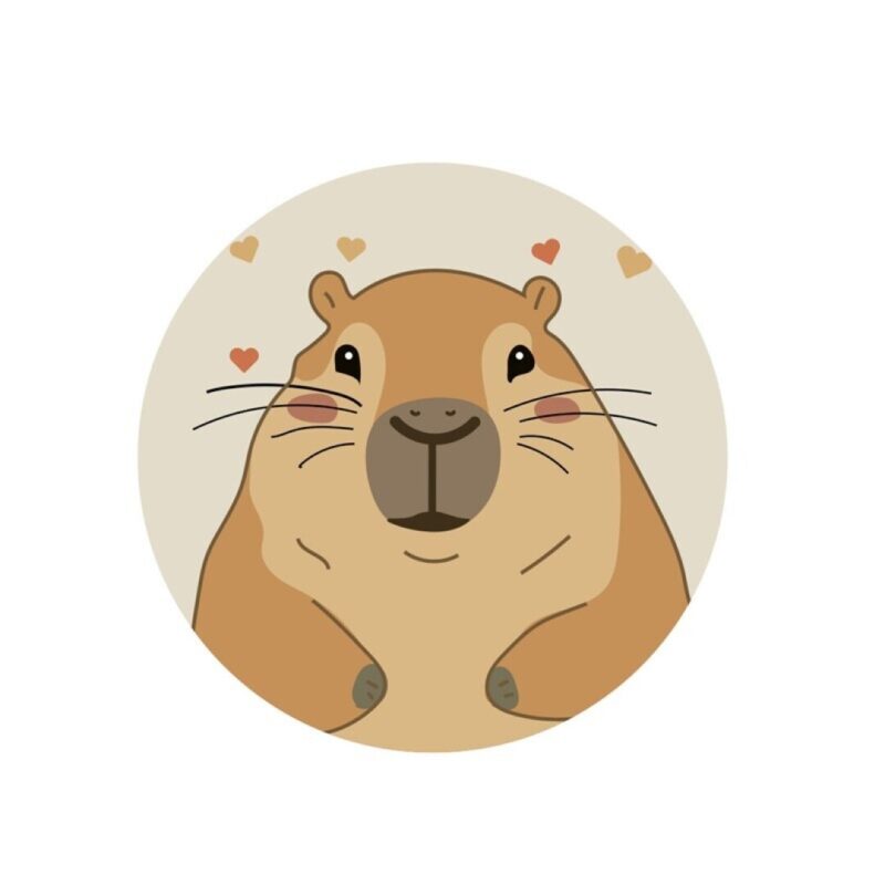 Capybara Sierkussen