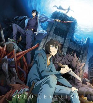 Solo Leveling fleece deken