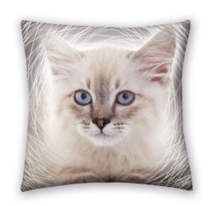 Sweet Home sierkussen Kitten 40 x 40 cm - 40 x 40 cm - 100% Polyester