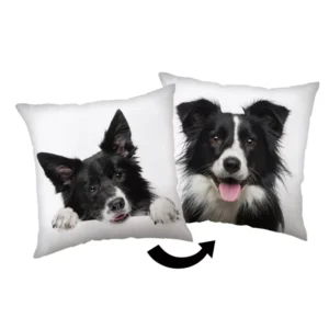 Sweet Home sierkussen Dog Border Collie 40 x 40 cm - Wit - 40 x 40 cm - Polyester
