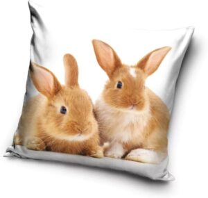 Sierkussen bruin 40 x 40 cm - Bruin - 40 x 40 cm - 100% Polyester
